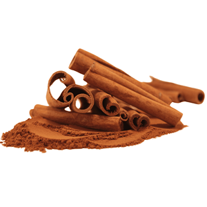 แท่งอบเชยอบแห้งแบบแท่งทั้งแบบดิบและเผ็ดเกรดพรีเมี่ยมจากเวียดนาม - Product Image 6