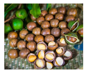 Nueces de Macadamia de primera calidad: secas, agrietadas y crujientes de Vietnam Ofertas de exportación a granel de alta calidad con excelentes precios en nueces de Macadamia - Product Image 3