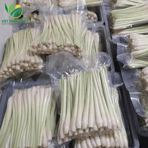 Vente en gros de tige de citronnelle congelée biologique de qualité supérieure du Vietnam emballage en vrac à prix bon marché - Product Image 1