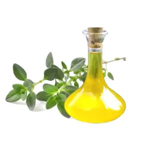 Hot Selling Product Global Demand on thyme oil Best Quality Natural Thyme Oil for Sale At Best Price From India.