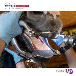Équipement dentaire équin de marque Cerahi' certifié CE ISO CVIAS, instruments vétérinaires, modèle d'anatomie pour chevaux, bovins, moutons - Product Image 3
