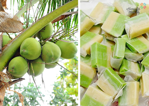 Bonbons à la noix de coco saveur originale 200g spécialité Ben Tre sans colorant artificiel - Product Image 6