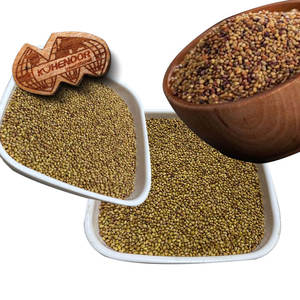 Berseular Clover | อุปทานสดสำหรับความต้องการการให้อาหารปกติ - Product Image 3