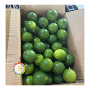 CITRONS FRAIS PREMIUM 100% NATURELS DE QUALITÉ SUPÉRIEURE ET DE BON PRIX Offre Spéciale DU VIETNAM - Product Image 2