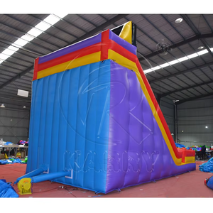 Château gonflable commercial d'extérieur avec toboggan, structure de jeu combinée humide et sèche en PVC écologique pour enfants - Product Image 3
