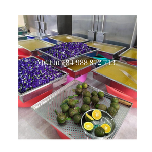 MEILLEUR CHOIX 2024 Vitamines gélifiés à la mousse de mer de qualité supérieure avec étiquette privée personnalisée - Product Image 4