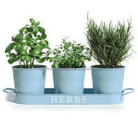 Pot de jardinière galvanisé, pot de fleurs en zinc, seau métallique pour l'arrangement de fleurs avec peinture de cœur