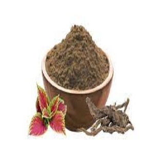 Himalayan Coleus forskohlii ผงสกัดสมุนไพร20% forskolin ของเหลวรากป่าได้รับการรับรองฮาลาล - Product Image 2