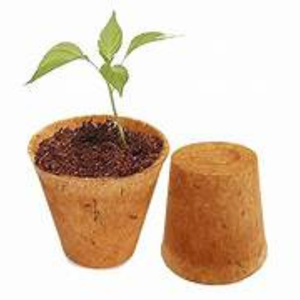 BioCoco Cultivator Cups Premium Pot Bandejas conveniente para un cultivo de plantas - Product Image 1