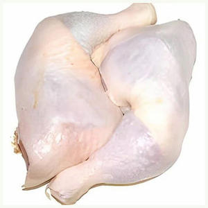 Piernas de pollo congeladas al por mayor a precio económico en oferta, venta al por mayor de cuartos de pierna de pollo congelados a bajo precio. - Product Image 6