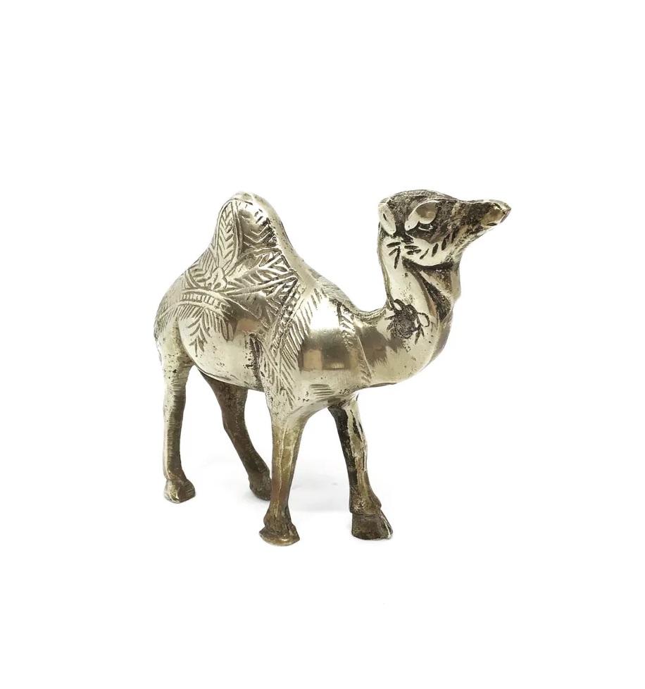 ตามที่แสดง