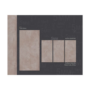 Baldosas de porcelana pulida esmaltada de alta calidad para sala de estar, estilos clásicos modernos, acabado mate brillante, paredes interiores - Product Image 3