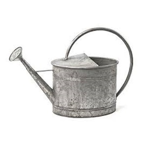 American Design <b>water</b> <b>can</b> <b>water</b> pot Best design watering Hand Tools Iron metal Finished Used For Home And Garden Decor - Product Image 5