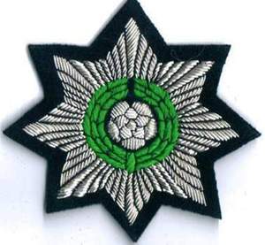 Fait sur mesure de qualité supérieure brodé à la main Bullion Wire Patch UK Regimental tissu à coudre 5e Royal Guards Blazer Badges - Product Image 4