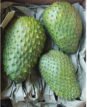 Puré de guantera congelado con conciencia inmune listo para mezclar/etiqueta de limpieza/certificado vegano - Product Image 2