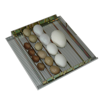 Incubateur d'œufs en mousse PVC thermo-isolante de petite taille entièrement automatique de haute qualité fabriqué en Italie pour 36 œufs de poule PIOPIO 36 DU