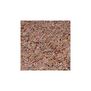 Enveloppe de psyllium biologique disponible pour l'exportation et l'emballage en vrac - Product Image 3