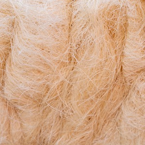 Fibra de Sisal de Calidad de Exportación, Fibra Natural Resistente para Cuerdas, Alfombras, Cepillos, Papel y Uso en Fabricación Comercial - Product Image 6