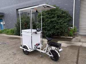 Tricycle <span class=keywords><strong>solaire</strong></span> à 3 roues pour la vente de glaces, bâtonnets de popsicle et de glaces, transport de marchandises, mouvement flexible - Product Image 6