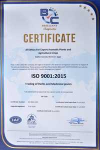 Frijoles blancos orgánicos sin OGM, procesamiento crudo moteado ligero disponible a granel o en bolsas en oferta - Product Image 6