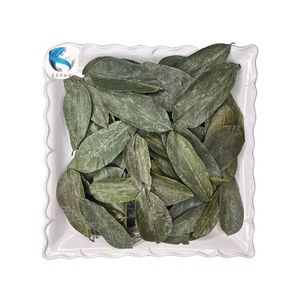 FEUILLE DE SOURSOP SÉCHÉE DU VIETNAM FEUILLE DE GRAVIOLA PRODUIT DE HAUTE QUALITÉ au VIET NAM Avec sac de 100g - Product Image 3