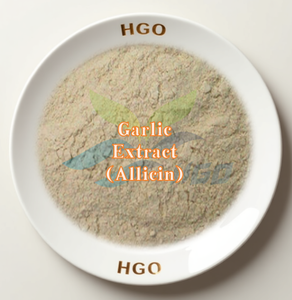 HGO Suministro directo de fábrica de extracto de ajo natural puro (grado alimenticio) Especificación Allicin 1% (extracto estandarizado) - Product Image 1