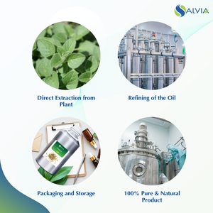 Huile d'origan 100% pur et naturel en gros en vrac prix le plus bas emballage personnalisé - Product Image 4