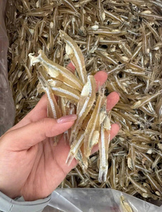 Poisson d'anchois prêt à l'exportation: hautement nutritif, 100% naturel, de qualité pour diverses utilisations. - Product Image 6