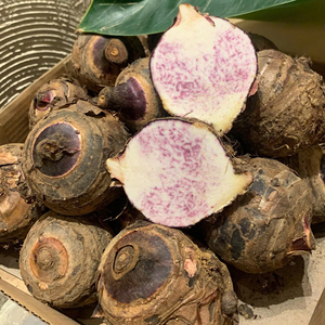 เผือกแช่แข็ง IQF บรรจุสุญญากาศ 500 กรัม รากเผือกธรรมชาติ สำหรับทำซอสและใช้ในอาหาร ผลิตในเวียดนาม โดย 99 โกลด์ ดาต้า - Product Image 1