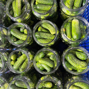 Vente en gros de concombres marinés Fourniture en gros de cornichons au goût croquant au meilleur prix - Product Image 1