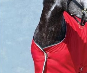 Tapis de cheval en coton synthétique léger et durable rouge vif imperméable à l'eau pour une utilisation toute l'année pour l'hiver et l'été - Product Image 2