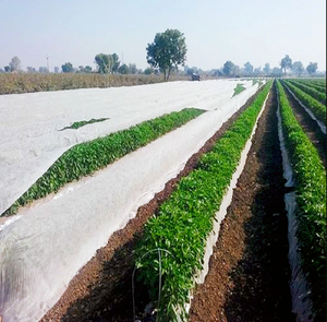 Agriculture Grade Non Woven Fabric Extra Wide Anti Frost Air Permeable for Crop and Plant Protection - Product Image 3