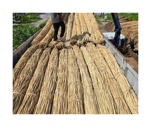 Poste de ratán natural de primera calidad de Vietnam: poste de ratán de material duradero y flexible para la fabricación de muebles y la decoración del hogar - Product Image 1