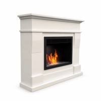 Cheminée bioéthanol autoportante MDF-03WH avec cadre en acier, sans conduit de fumée, avec poignée de flamme, pour intérieur