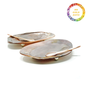 Iridescent Mother of Pearl Shell Plate for Table and Restaurant Decor - Product Image 4