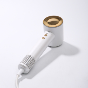 Haute vitesse électrique BLDC Portable ionique air main coup corps complet sans brosse vêtements chaussure Salon sèche-cheveux - Product Image 2