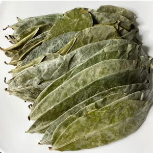 Hojas de Guanábana naturales - Product Image 5