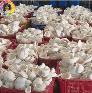 Leche de coco congelada de calidad de exportación de Vietnam, ideal para salsas, sopas, curry y servicio de comida internacional - Product Image 5