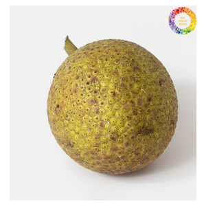 Fruta de pan congelada de alta calidad, fruta de pan IQF congelada, fruta de sake congelada Premium para exportación, deliciosa fruta de pan congelada - Product Image 6