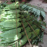 Daun Bambu Vietnam Bahan Baku Ramah Lingkungan Ukuran Besar Produsen HNIECO Umur Simpan 12 Bulan Penyimpanan Kering Buatan Vietnam