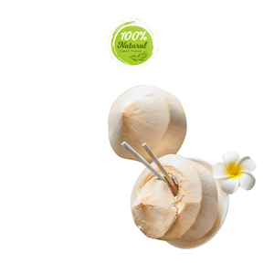 Noix de coco pelée au diamant Produit agricole populaire pour les festivals d'été - Product Image 2