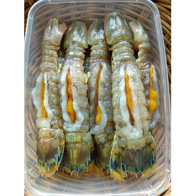Seafood Products Frozen Cut Blue Swimming Crab Whole Round freezer for prawn lobster/shrimps
