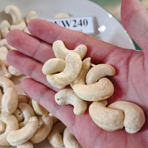 FREE Sample Cashew Kaju Badam SANTIGO Cashew <b>Nuts</b> W240 Ready To Ship - Product Image 1