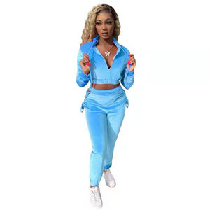 Wholesale Winter Streetwear Solid Heavyweight Velour Hooded <b>Crop</b> <b>Top</b> <b>Set</b> Casual Custom Velvet Women Tracksuit - Product Image 3