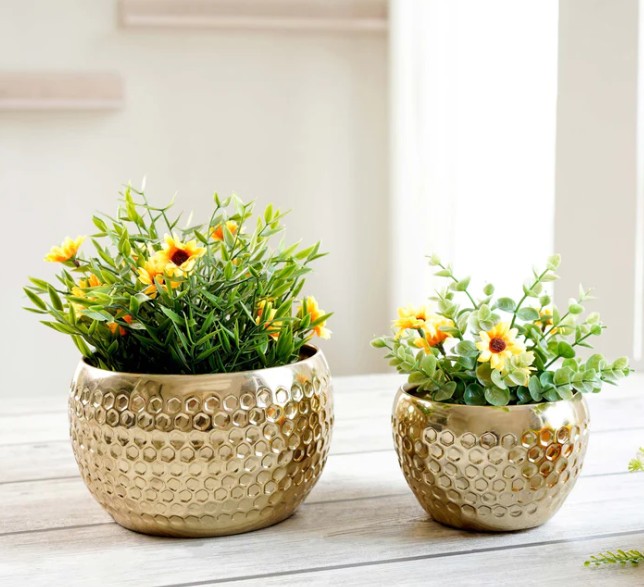 ตามที่แสดง