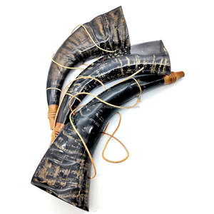 Venta caliente de Shofar de cuerno de carnero natural para soplar y propósito religioso Shofar Kosher de tamaño personalizado Cuerno de Israel Kudu pulido - Product Image 4