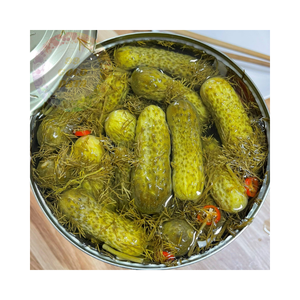 Concombres de cornichons en vrac pour la vente en gros-Fraîchement récolté, idéal pour la vente au détail à grande échelle et la transformation des aliments - Product Image 4