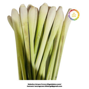 Hierba de limón congelada de origen vietnamita cuidadosamente seleccionada de fragancia natural y congelada por expertos para exportación en paquetes a granel - Product Image 6
