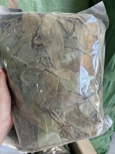 Feuilles de corossol séchées naturellement sélectionnées pour les projets d'infusion de boissons, emballage de vente au détail et approvisionnement pour le marché international - Product Image 6