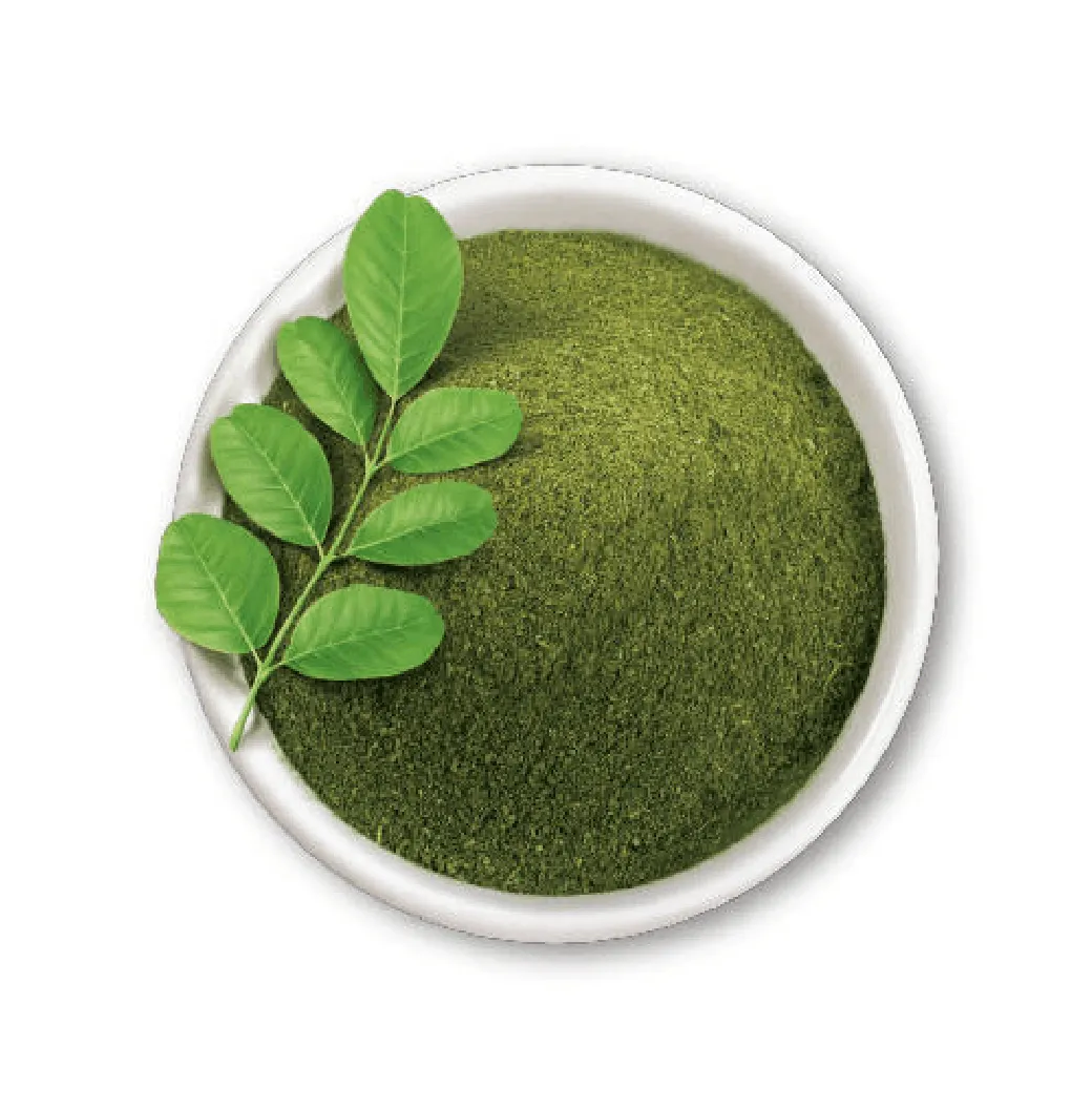 2023 건강 관리 제품 Moringa 분말 USDA 및 EU 유기농 설탕 환자와 성인을위한 Moringa 잎 분말을 판매